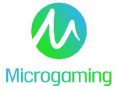 Best Online Casinos with Microgaming Software casino image