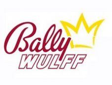 Best Online Casinos with Bally Wulff Software casino image