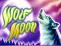 Wolf Moon slot image